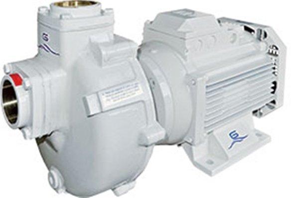 GIANNESCHI Genel amaçlı Pompa 230/400V BMA-S